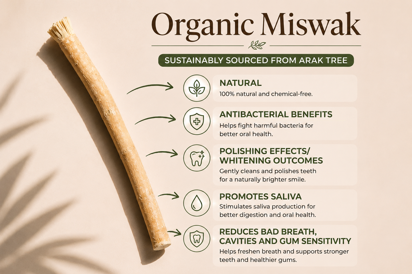 Miswak Twig