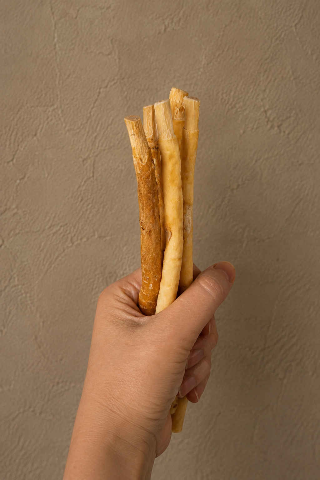Miswak Twig